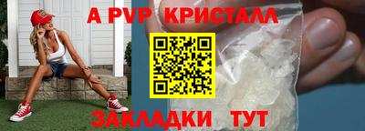 стафф Ефремов