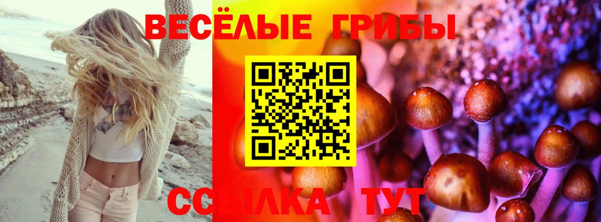 Галлюциногенные грибы мухоморы Ачхой-Мартан
